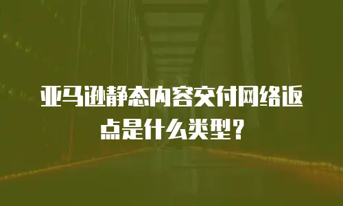 亚马逊静态内容交付网络返点是什么类型？
