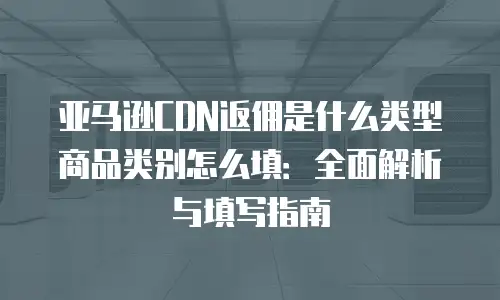 亚马逊CDN返佣是什么类型商品类别怎么填：全面解析与填写指南
