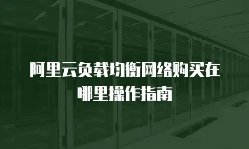 阿里云负载均衡网络购买在哪里操作指南