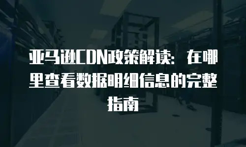 亚马逊CDN政策解读：在哪里查看数据明细信息的完整指南