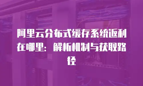阿里云分布式缓存系统返利在哪里：解析机制与获取路径