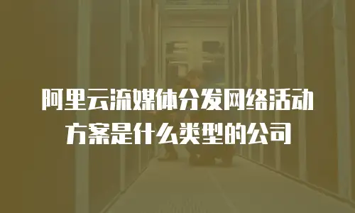 阿里云流媒体分发网络活动方案是什么类型的公司