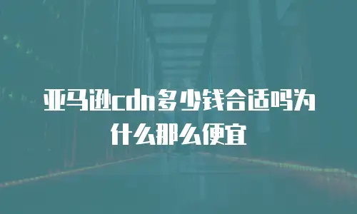 亚马逊cdn多少钱合适吗为什么那么便宜