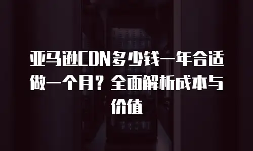 亚马逊CDN多少钱一年合适做一个月？全面解析成本与价值