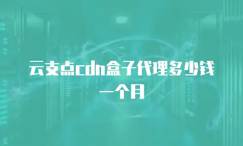 云支点cdn盒子代理多少钱一个月