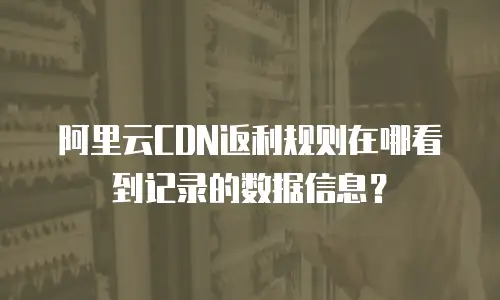 阿里云CDN返利规则在哪看到记录的数据信息？
