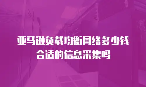 亚马逊负载均衡网络多少钱合适的信息采集吗