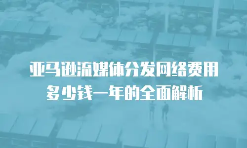 亚马逊流媒体分发网络费用多少钱一年的全面解析
