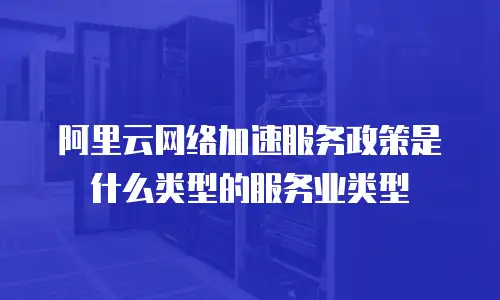 阿里云网络加速服务政策是什么类型的服务业类型