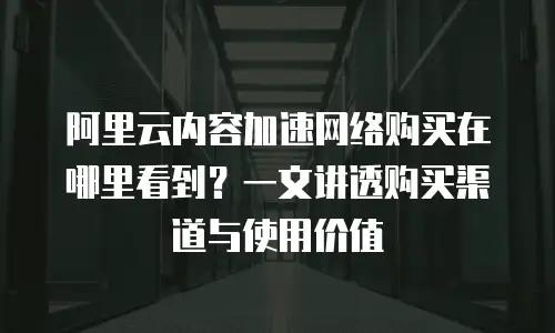 阿里云内容加速网络购买在哪里看到？一文讲透购买渠道与使用价值