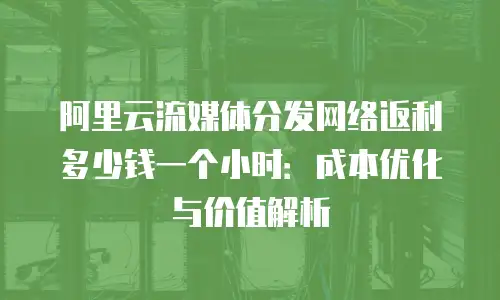 阿里云流媒体分发网络返利多少钱一个小时：成本优化与价值解析