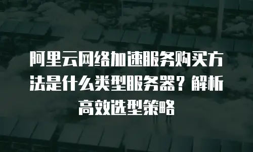 阿里云网络加速服务购买方法是什么类型服务器？解析高效选型策略