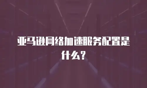 亚马逊网络加速服务配置是什么？
