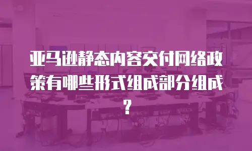亚马逊静态内容交付网络政策有哪些形式组成部分组成？