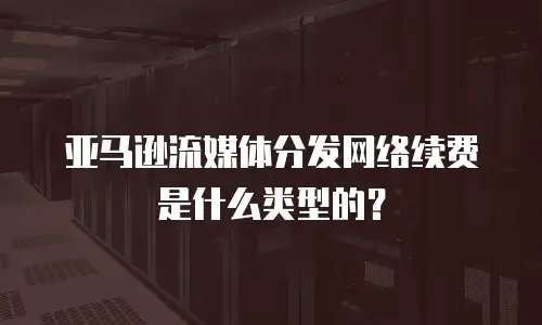 亚马逊流媒体分发网络续费是什么类型的？