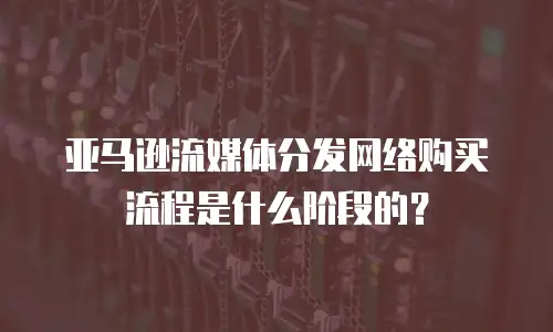 亚马逊流媒体分发网络购买流程是什么阶段的？