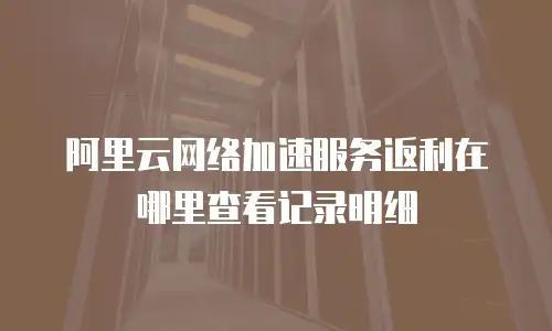 阿里云网络加速服务返利在哪里查看记录明细