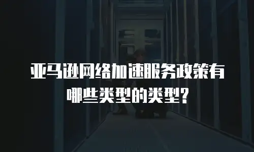 亚马逊网络加速服务政策有哪些类型的类型?