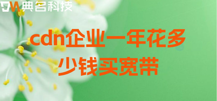 cdn企业一年花多少钱买宽带