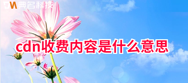 cdn收费内容是什么意思